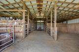 11545 County Road 586 - Photo 27