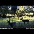 13000 Chalk Mountain Highway - Photo 31