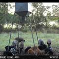 13000 Chalk Mountain Highway - Photo 33