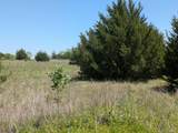 11008 County Road 670 - Photo 7