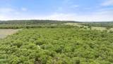 TBD-1 County Road 120 - Photo 32