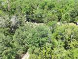 TBD Cr 431 Road - Photo 14