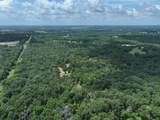 TBD Cr 431 Road - Photo 3