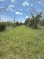 322 County Road 146 - Photo 17