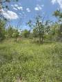 322 County Road 146 - Photo 20