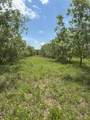 322 County Road 146 - Photo 24