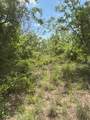 322 County Road 146 - Photo 26