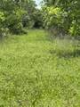 322 County Road 146 - Photo 29