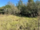 70+/- Acres Turner - Photo 10