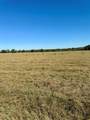 70+/- Acres Turner - Photo 6