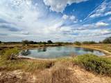 70+/- Acres Turner - Photo 9