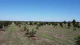 TBD Fm-2861 - Photo 11