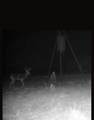 CR 209 County Road 209 - Photo 19
