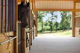 21384 County Road 116 - Photo 5