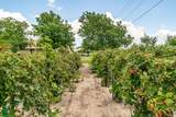 2036 County Road 242 - Photo 10