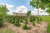 2036 County Road 242 - Photo 11