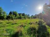 475 County Road 4421 - Photo 5