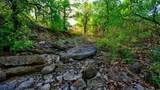 0 Fm 9 Wooded Side - Photo 18
