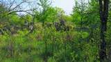 0 Fm 9 Pecan Orchard Side - Photo 15