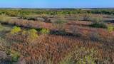 0 Fm 9 Pecan Orchard Side - Photo 7