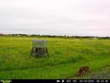 685 Mclaughlin Road - Photo 31