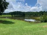 20550 Highway 9 - Photo 2