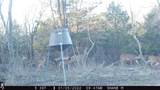 17 plus Glen Ellen Road - Photo 7