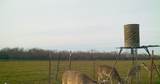 TBD 92.81 +/- ACRES Leeper Road - Photo 10