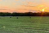 TBD 92.81 +/- ACRES Leeper Road - Photo 12