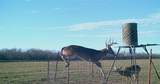 TBD 92.81 +/- ACRES Leeper Road - Photo 3
