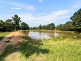 9822 Nasturtium Road - Photo 13