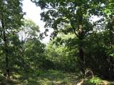 TBD 4309 Lane - Photo 2