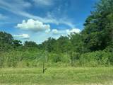 TBD County Road 287 - Photo 3
