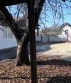 3641 Travis - Photo 3