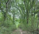 32 Acres County Road 2324 - Photo 1