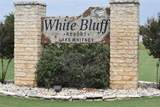19066 White Bluff Drive - Photo 15