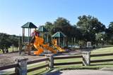 19066 White Bluff Drive - Photo 9
