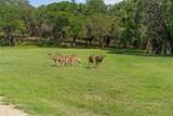 Lot 16 Rose Way - Photo 3