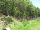 TBD Josee's Journey - Photo 2
