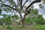 11916 Jim Bridger Drive - Photo 10