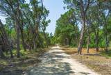 11916 Jim Bridger Drive - Photo 11