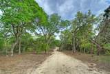 11916 Jim Bridger Drive - Photo 8