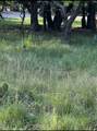 Lot 653 Lakeside Drive - Photo 1