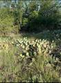 Lot 669 Lakeside Drive - Photo 2