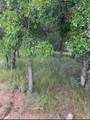 Lot 940 Oak Point Drive - Photo 2