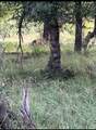 Lot 961 Lakes Drive - Photo 2