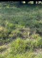 Lot 790 Oak Point Drive - Photo 1