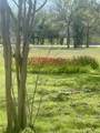 3485 County Road 412 - Photo 15