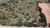 TBD Ballew Springs Road - Photo 8