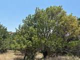Lot 246 Broadmoor Court - Photo 9